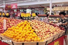 附图。图自越通社