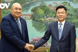 越南政府副总理黎成龙会见世界卫生组织西太平洋地区主任赛亚•皮乌卡拉。图自越通社