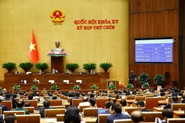 国会表决通过7部重要法律。图自越通社