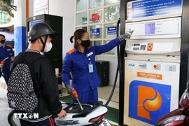 附图。图自越通社