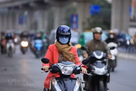 附图。图自越通社