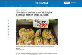 日本《日经亚洲》上刊发的文章。（屏幕截图）