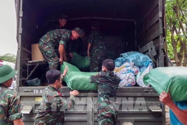 附图。图自越通社