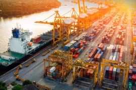 世行预测2025年越南国内生产总值增长率为5.8%。图自Vietnam+