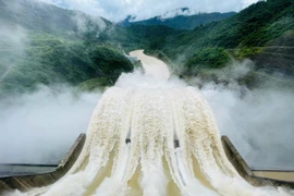 乂安省本伟（Bản Vẽ）水电站将根据实际情况灵活调节泄洪计划。图自越通社