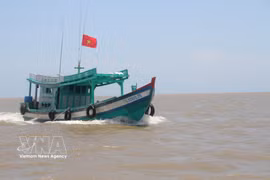 金瓯省开展打击 IUU 捕捞高峰行动。图自越通社