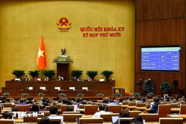 国会以442名代表中的433票赞成通过了《数字化转型法》。图自越通社