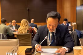 越南常驻代表团团长梅潘勇大使在会上发言。图自越通社