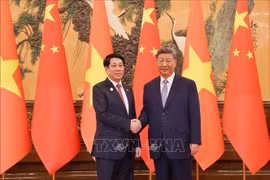 越南国家主席梁强与中共中央总书记、国家主席习近平亲切握手。图自越通社
