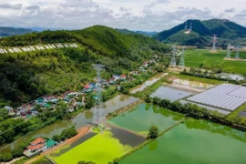 2024年9月，从广平省广泽至兴安省浦诺500千伏三回输电线路项目建成投运，有助于保障北部地区电力供应稳定，助力区域经济发展。图自越通社