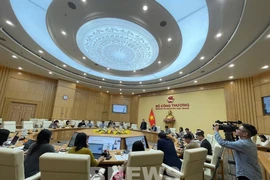 工贸部在河内举行《2025—2035年时期及到2050年展望越南物流服务发展战略》部署会议。图自越通社