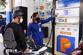 附图。图自越通社
