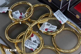 附图。图自越通社