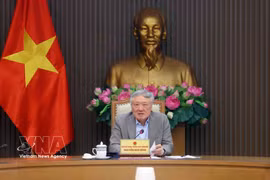 阮和平副总理主持会议。图自越通社