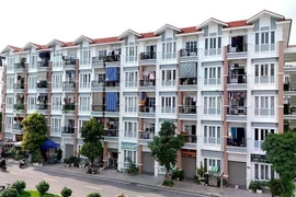 附图。图自越通社