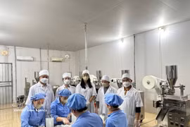 蒲末药料股份公司专家和人员。图自越通社