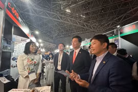 代表们参观越南展位的产品。图自越通社