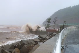 第5号台风登陆乂安和河静，北部和中部6省出现强降雨。图自越通社
