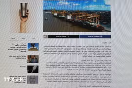 埃及《Sada Al-Khbar》发布的文章。（屏幕截图）