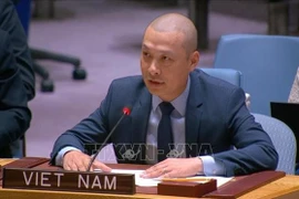 越南常驻联合国代表团副团长阮黄原公使衔参赞出席会议并发言。图自越通社
