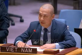 越南常驻联合国代表团副团长阮黄原公使衔参赞出席会议并发言。图自越通社