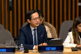 越南常驻联合国代表团团长杜雄越大使。图自越通社