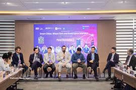 国内外专家在研讨会上发表意见。图自越通社