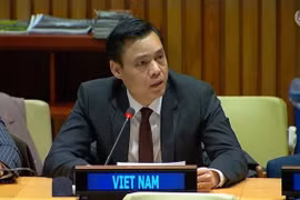 越南常驻联合国代表团团长邓黄江大使在会上发表讲话。图自越通社