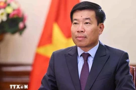 越南外交部副部长阮孟强。图自越通社