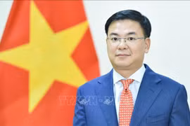 越南驻日本大使范光效。图自越通社
