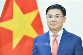 越南驻日本大使范光效。图自越通社