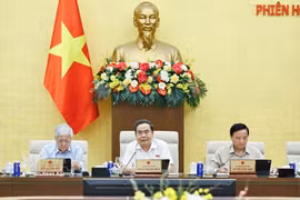 国会主席陈青敏主持会议。图自越通社