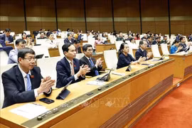 与会代表。图自越通社