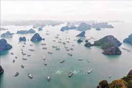 下龙湾一角。图自越通社