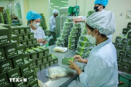 林同省药品公司的药品包装环节。图自越通社