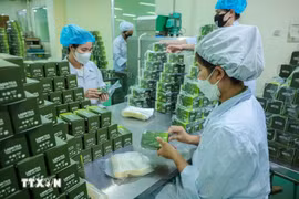 林同省药品公司的药品包装环节。图自越通社