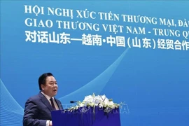 越共中央委员、中央政策与战略委员会副主任、越中友好协会主席阮黄英发表讲话。图自越通社