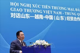 越共中央委员、中央政策与战略委员会副主任、越中友好协会主席阮黄英发表讲话。图自越通社