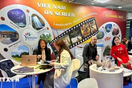 国际代表正在了解越南电影产业。图自越通社