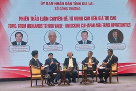 会议期间的专题讨论会。图自越通社
