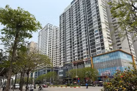 附图。图自越通社