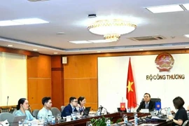 阮黄龙副部长发表讲话。图自越通社