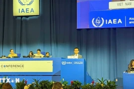 越南常驻奥地利维也纳联合国和其他国际组织代表团团长武黎太黄大使在会上发言。图自越通社