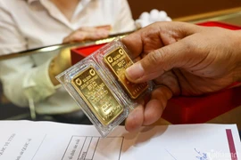 附图。图自越通社