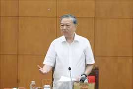 越共中央总书记苏林发表讲话。图自越通社