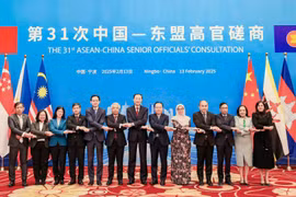 越南外交部副部长杜越雄和出席第31次中国-东盟高管磋商的代表合影。图自越通社