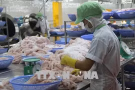 附图。图自越通社
