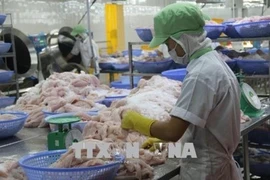 附图。图自越通社