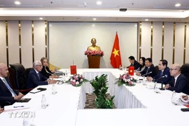 2025年1月，越南国会主席陈青敏会见摩洛哥王国众议院议长拉希德·塔尔比·阿拉米。图自越通社