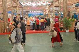 附图。图自越通社